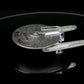 #27 U.S.S. Mayflower NCC-1621 (Mayflower-type) Starship Diecast Model Ship BONUS ISSUE (Eaglemoss / Star Trek)